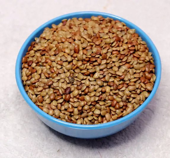 Kaanam / வெள்ளைக் காணம்