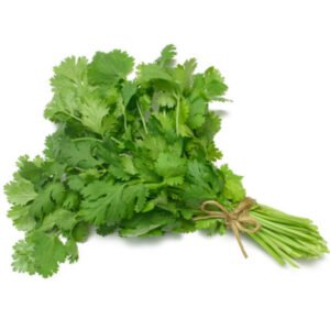 Coriander Leaves/கொத்தமல்லி இலை