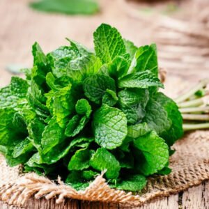 Mint leaves / புதினா