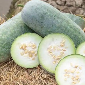 White Pumpkin /தடியங்காய்