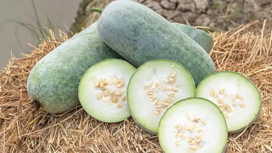 White Pumpkin /தடியங்காய்