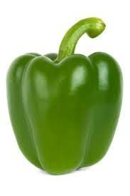 Capcicum